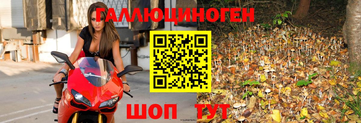 Галлюциногенные грибы Cubensis Апатиты