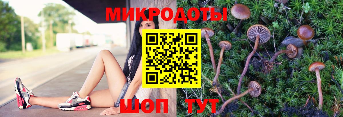 Псилоцибиновые грибы мицелий  Вход с VPN  Апатиты 